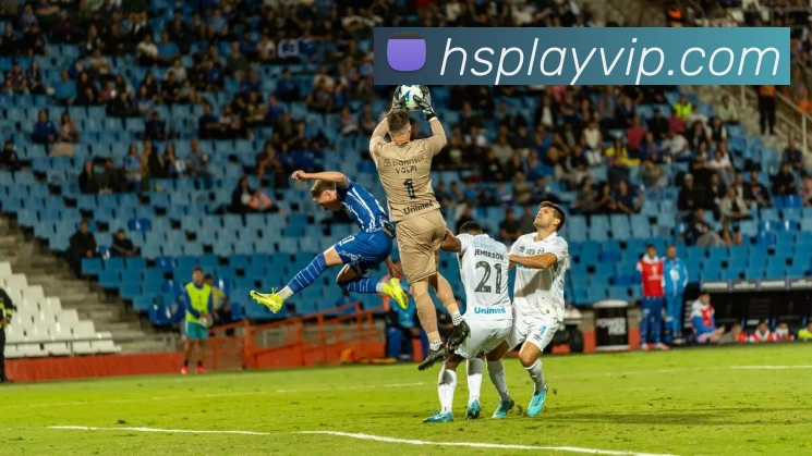 恒盛娱乐官网平台生态图